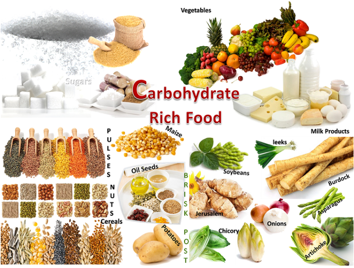 Ernährung ohne kohlenhydrate und zucker gesund