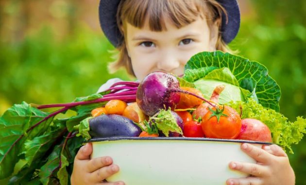 Gesunde Ernährung für Kinder erklärt