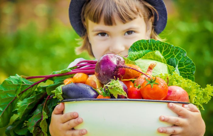 Gesunde ernährung für kinder erklärt